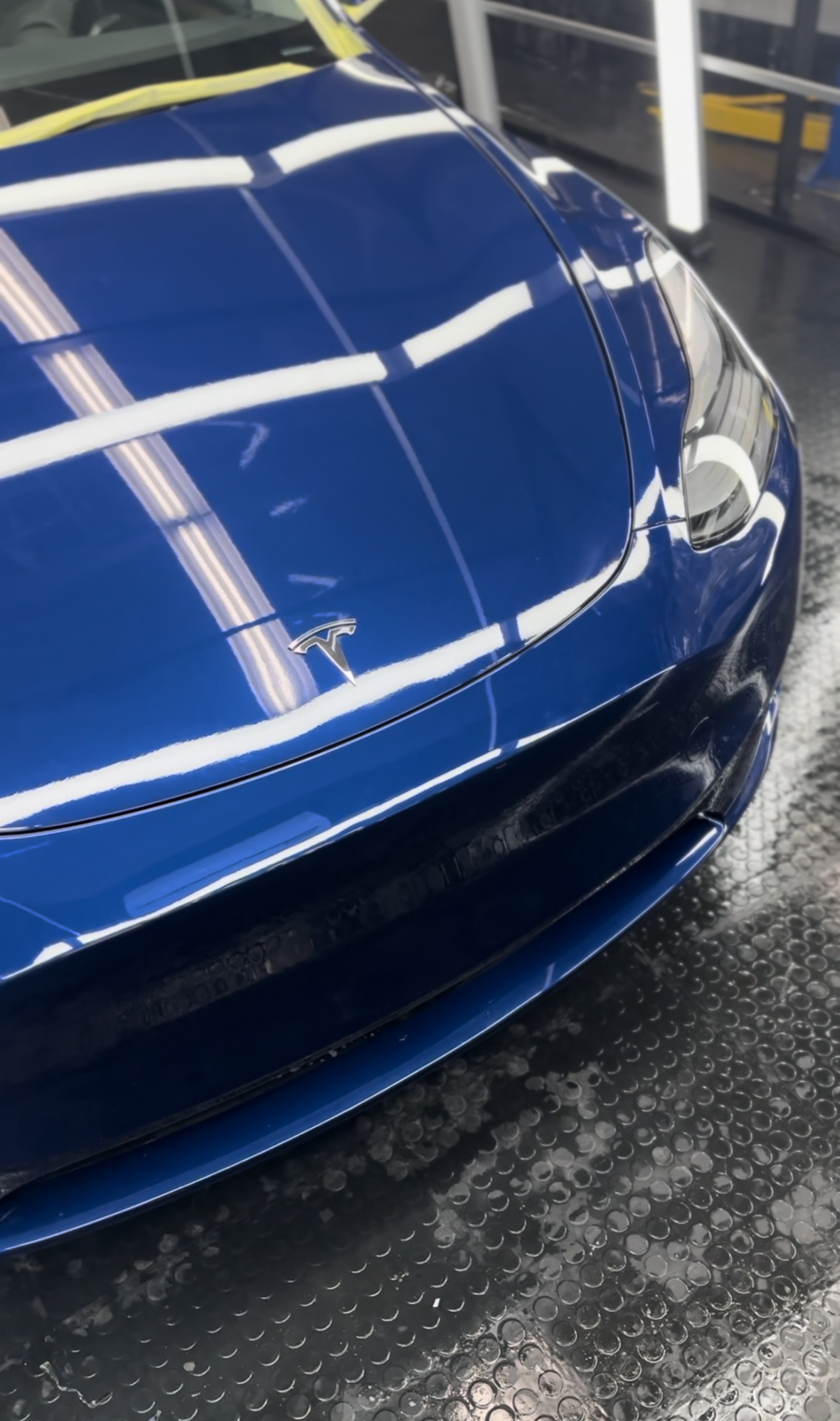 Aria film solutions blue tesla ppf